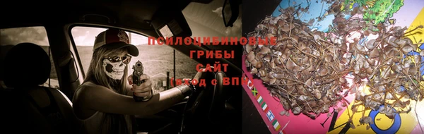 стаф Кулебаки