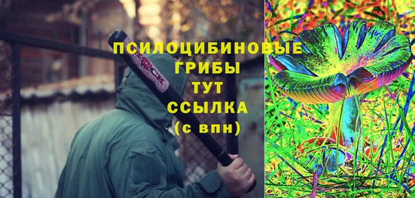 стаф Кулебаки