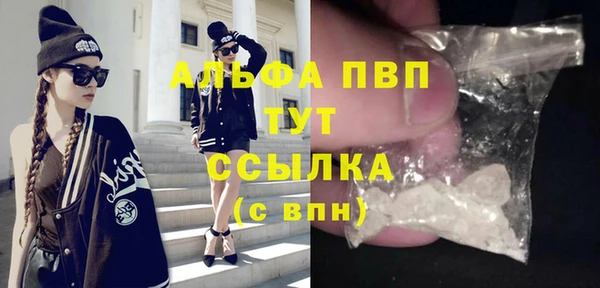 стаф Кулебаки