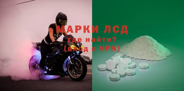 стаф Кулебаки