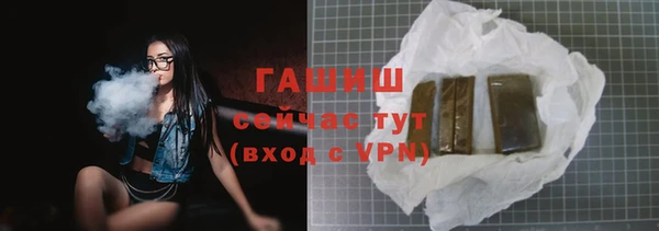 стаф Кулебаки