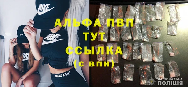 мяу мяу мука Гатчина
