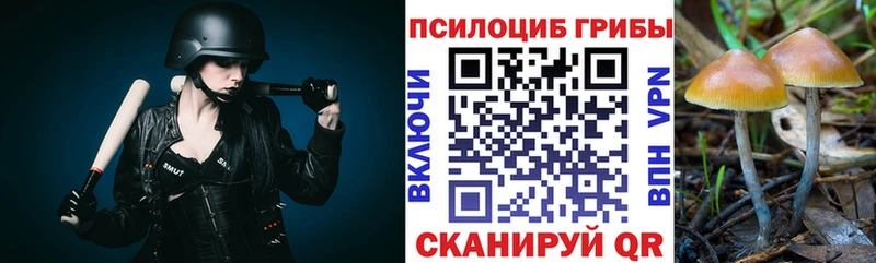 хочу наркоту  Медногорск  Галлюциногенные грибы Magic Shrooms 