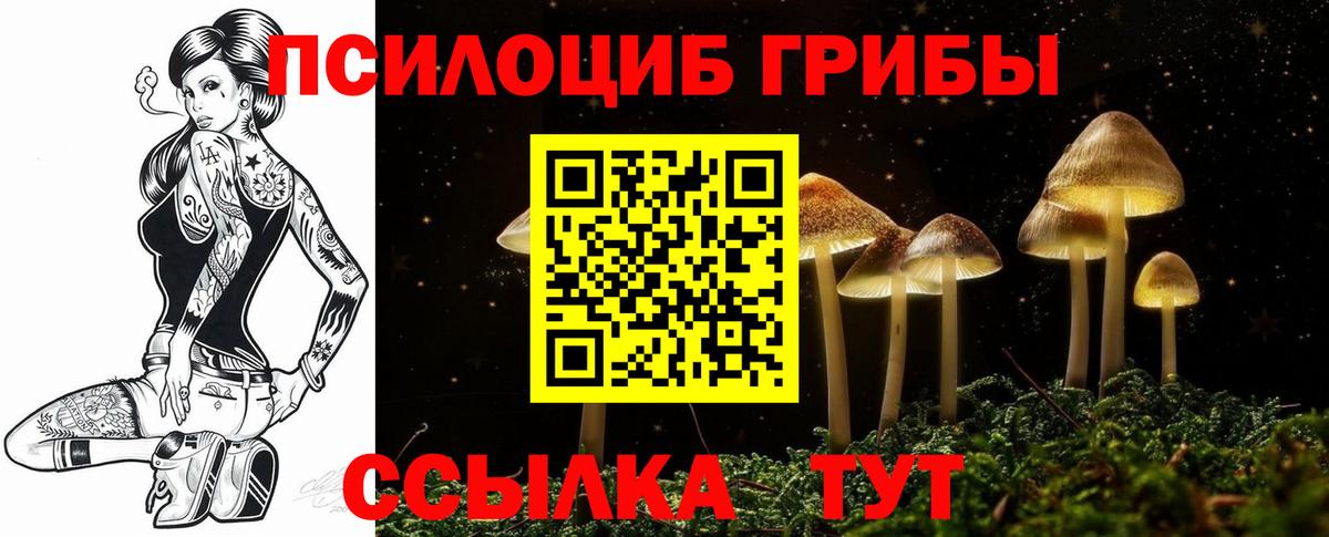 Псилоцибиновые грибы мухоморы Медногорск