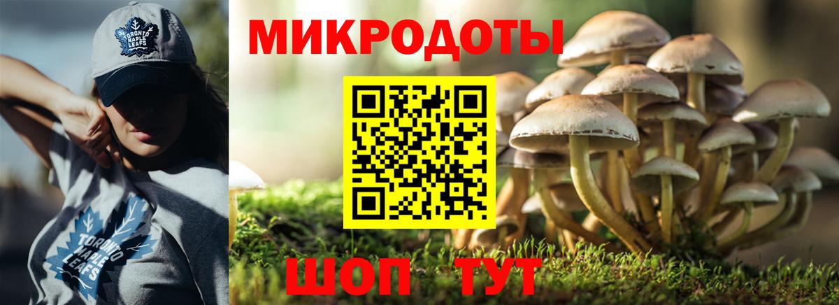 Галлюциногенные грибы Magic Shrooms  Вход с VPN  Медногорск 